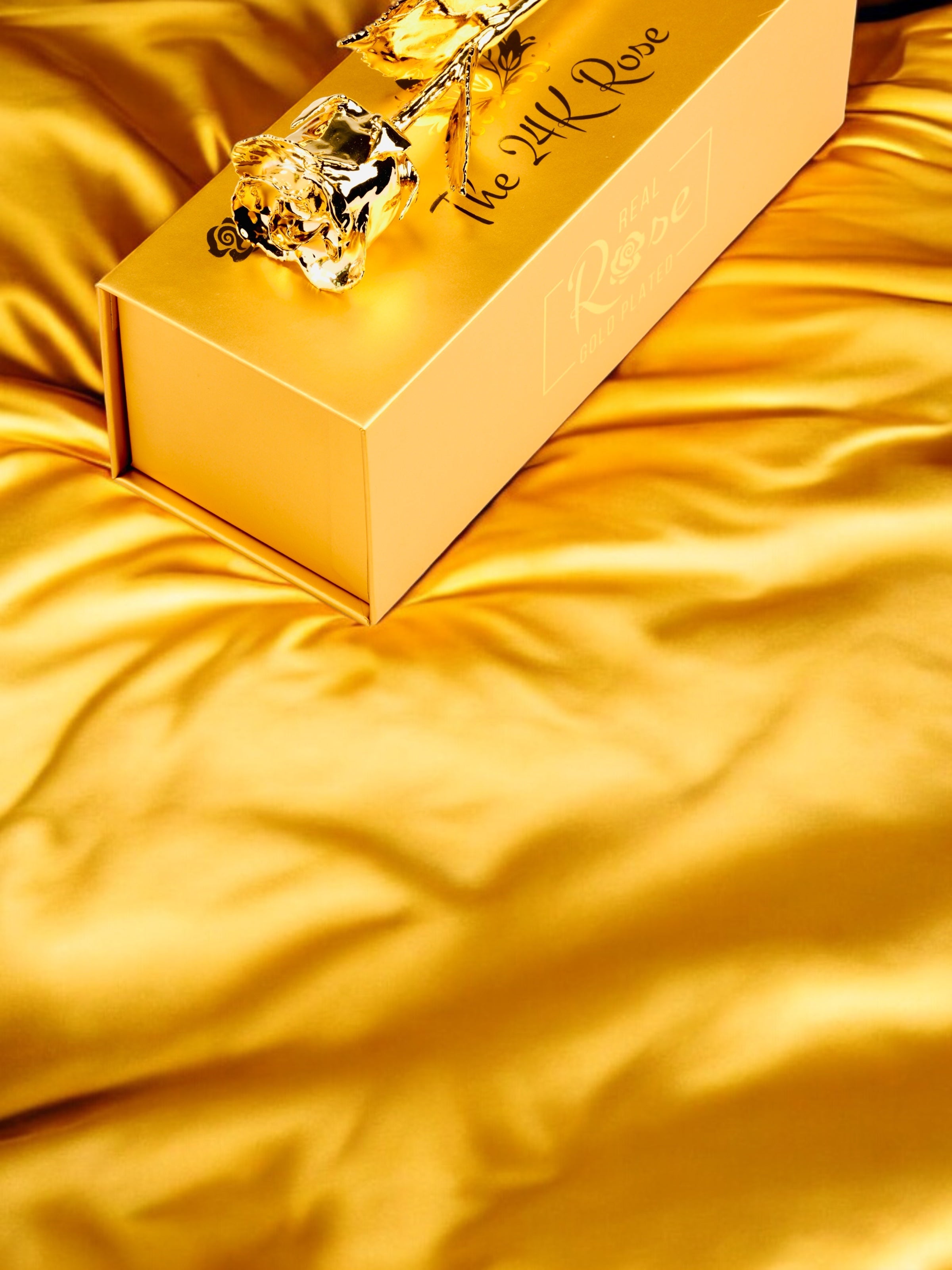 24K Gold Plated Real Rose (Long stem)