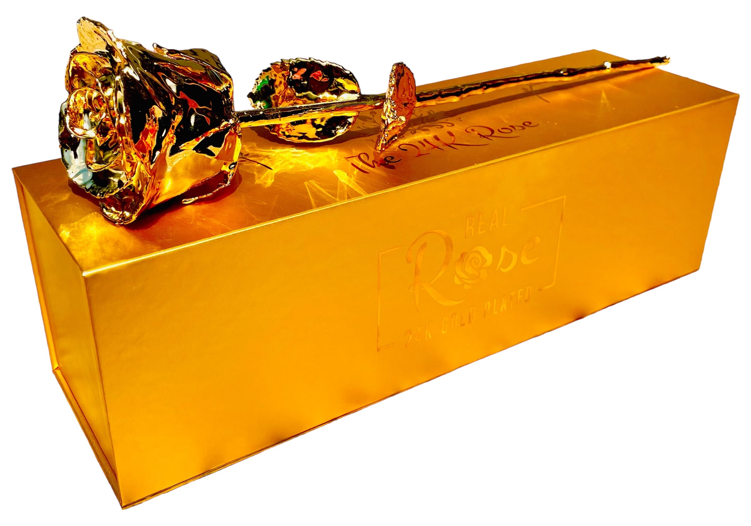 24K Gold Plated Real Rose (Long stem)