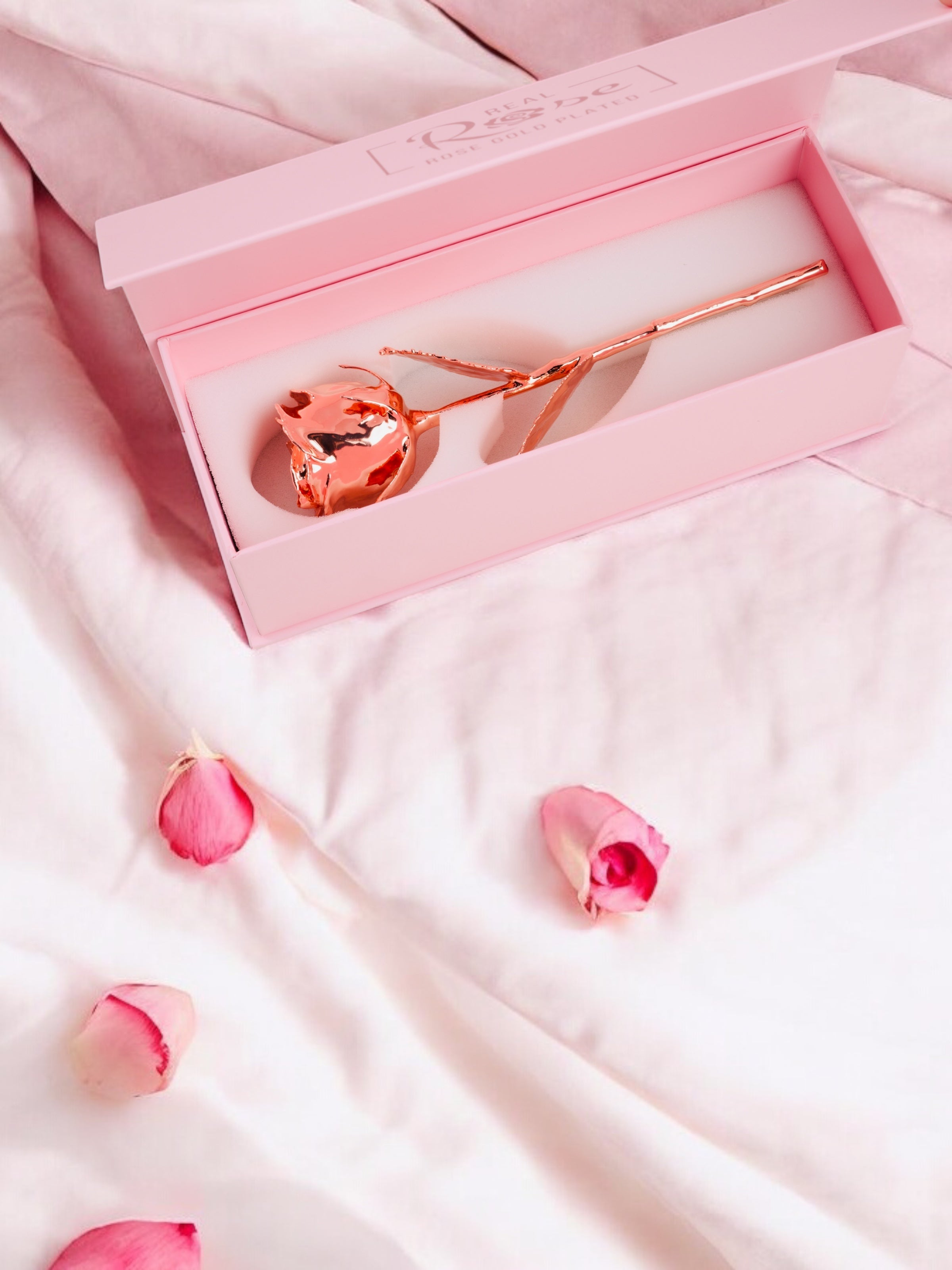24K Rose Gold Plated, Rose (Short stem)