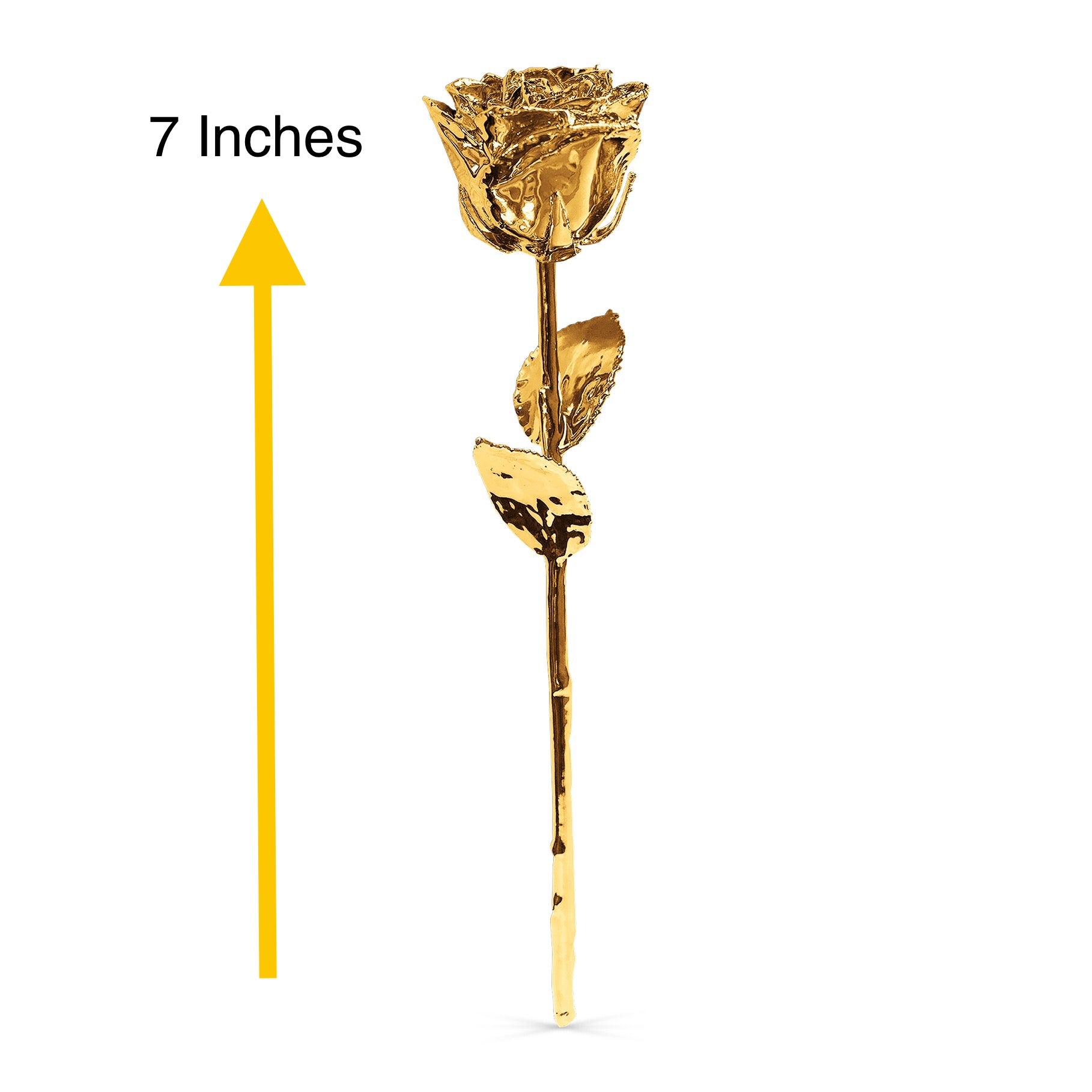 24K Gold Plated 100% Real Rose 7" tall