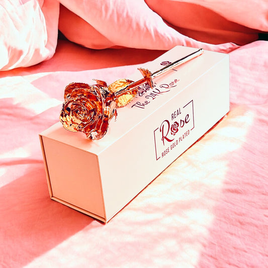 24K Rose Gold Plated, Rose (Long stem) (4 PACK)