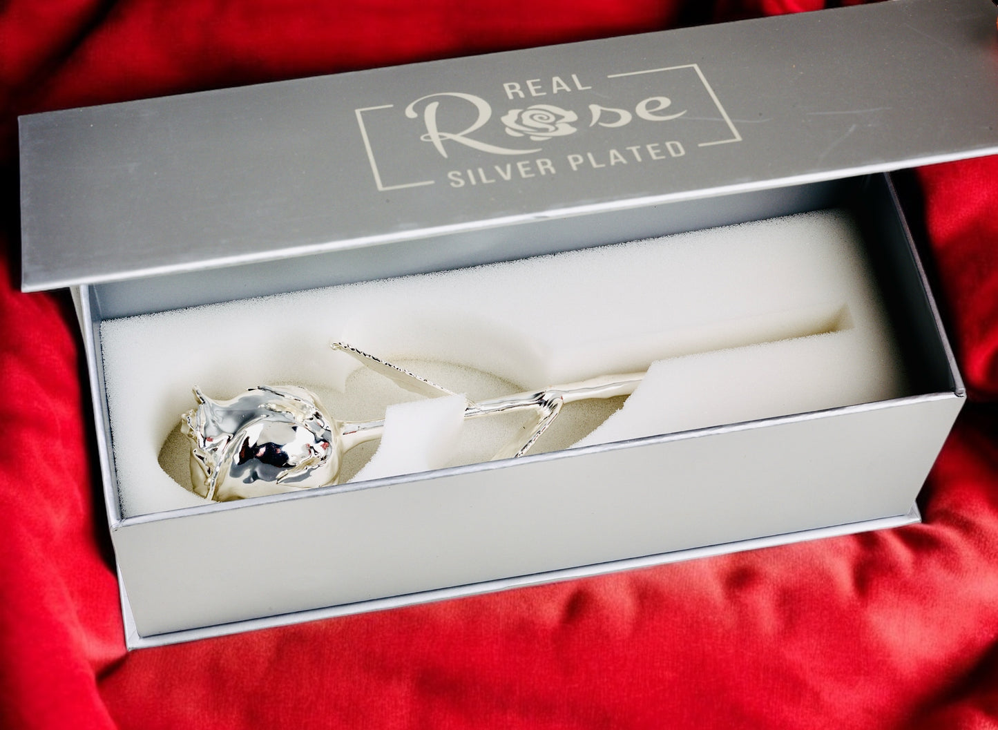 Silver Plated Real Rose (Short stem)