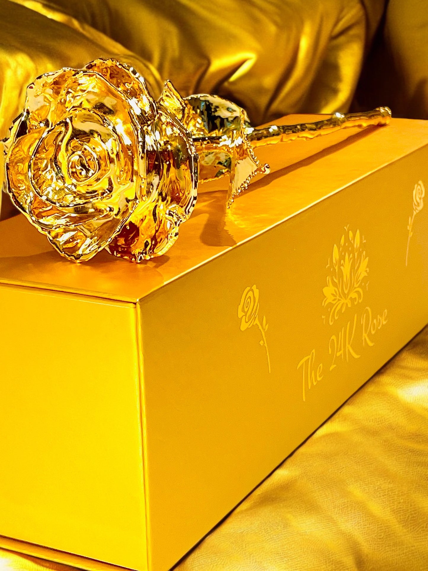 24K Gold Plated Real Rose (Long stem)