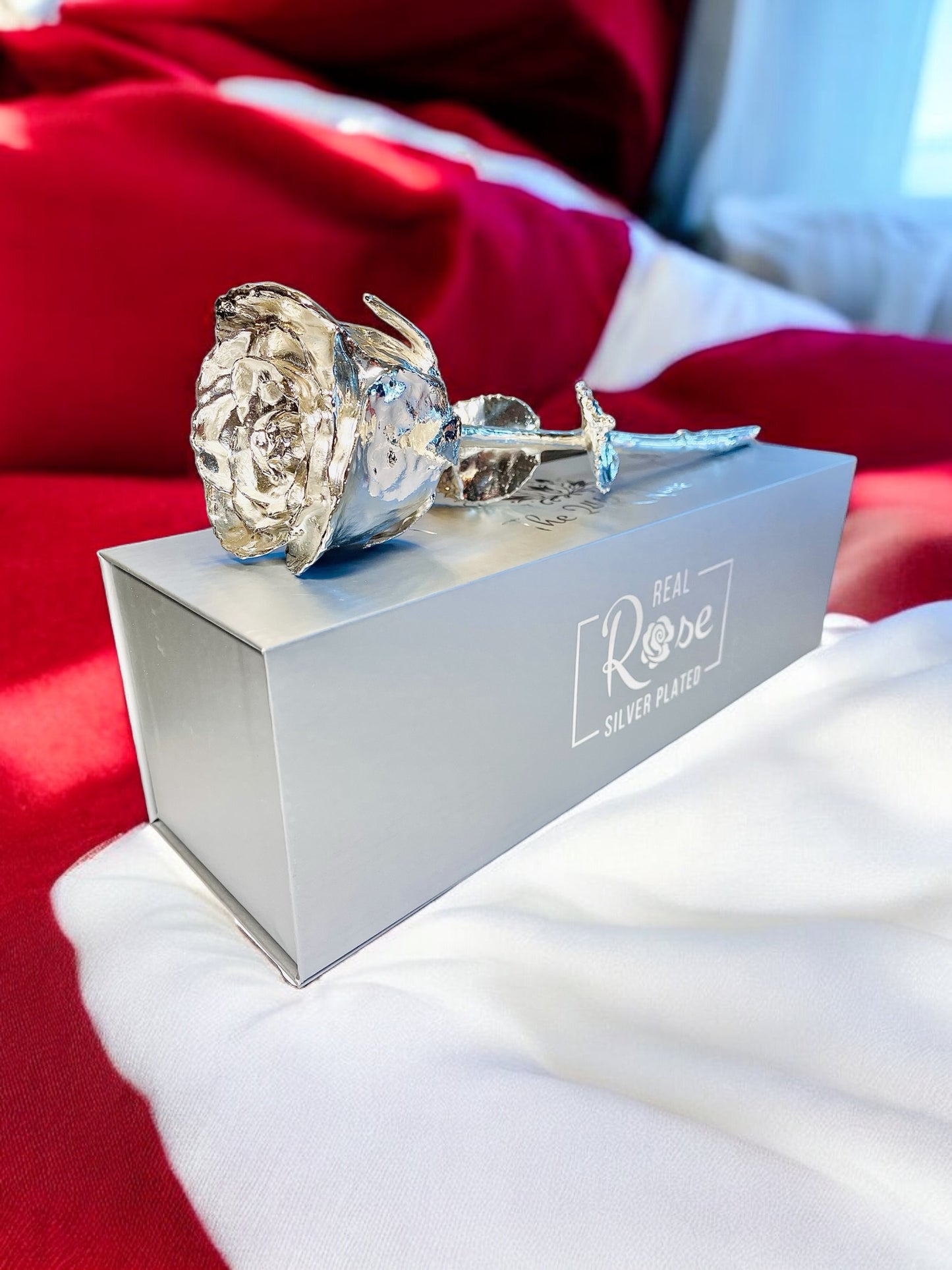 Silver Plated Real Rose (Long stem)