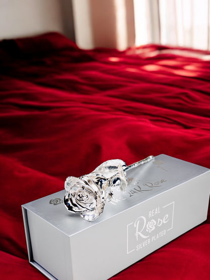 Silver Plated Real Rose (Short stem)
