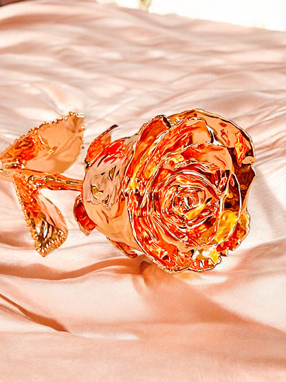 24K Rose Gold Plated, Rose (Long stem)