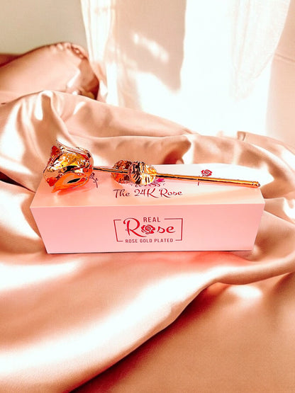 24K Rose Gold Plated, Rose (Long stem)