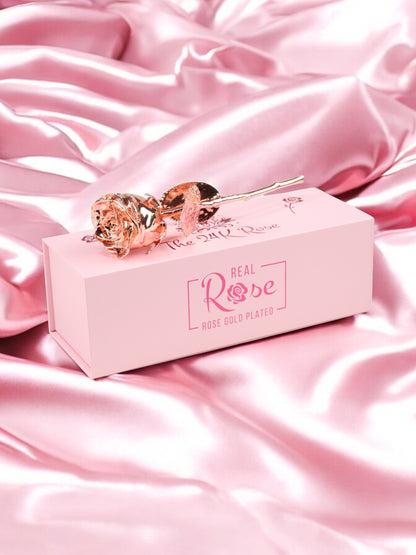 24K Rose Gold Plated, Rose (Short stem)