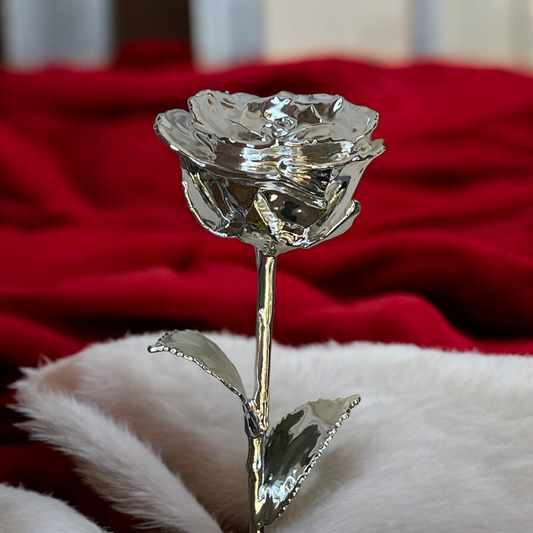 Silver Plated Real Rose (Long stem) (4 PACK)